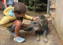 Farm Animals Get New Lease on Life at West Marin Sanctuary A child on an educational tour at Rancho Compasión, a farm animal sanctuary. meets a potbellied pig.