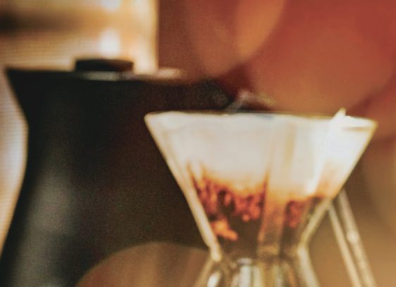 Gratitude is Good: Marin’s Secret Guide to Health and Happiness Gratitude makes us healthier.