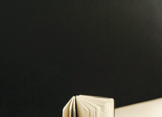 Gifts for Influencers the North Bay is a treasure trove of photogenic objects to elevate your favorite influencer.