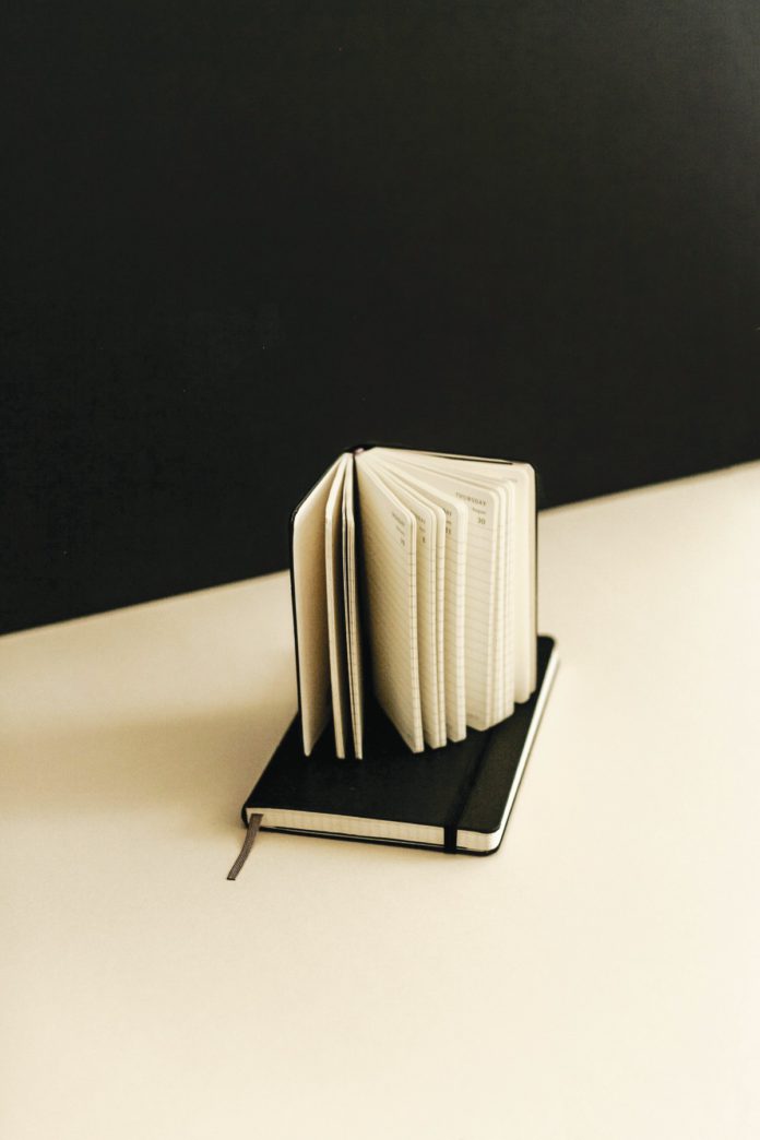 the North Bay is a treasure trove of photogenic objects to elevate your favorite influencer.