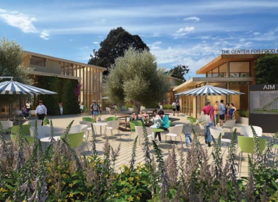 Food & Ag Center Blooms: Marin Farmers Market Gets Permanent Home Marin Farmers Market gets permanent home