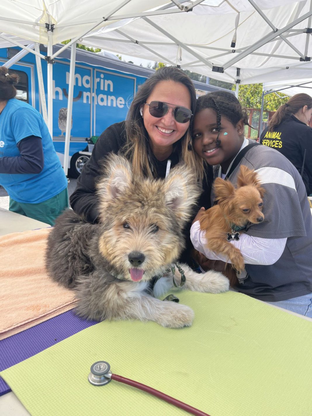 A common sense guide for furry family members during the festive season