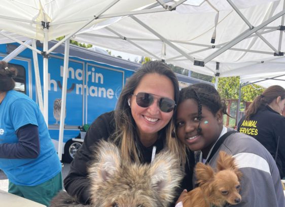 Pets and the Holidays: A Common Sense Guide A common sense guide for furry family members during the festive season