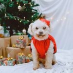 Marin Theatre presents 'The Gift of Nothing,' a play adapted from the book of the same name.