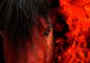 Feb. 17 ushers in the Chinese Lunar New Year, and this one is coming hot, the Year of the Fire Horse.