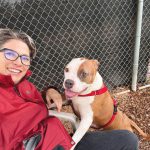 Placing Pets: Local Humane Society Services Cynthia King, the Humane Society of Sonoma County's new executive director, has a lengthy local career in community nonprofits