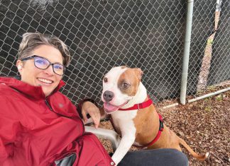 Cynthia King, the Humane Society of Sonoma County's new executive director, has a lengthy local career in community nonprofits