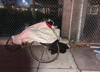 110 participants fanned out across Marin during the biennial point-in-time count to document the number of homeless people in the county.