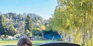 Since launching in 2022, Painted Bins has diverted nine tons of Marin food waste away from landfills, sparing the atmosphere from harmful methane emissions.