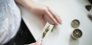 In Sonoma County, legal cannabis is sold in storefront dispensaries from Santa Rosa to Sebastopol. In Marin County, such shops are largely absent.