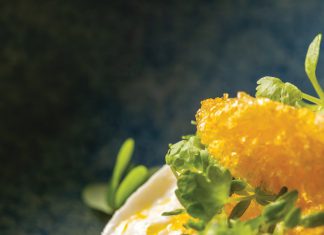 Larkspur’s Restaurant Picco, now celebrating 20 years, has improved with age.