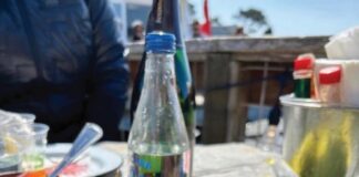 Shannon Gregory's new restaurant, set to open in June, is called the Bar Auklet after a seabird native to the area and aims to offer a high-end bar and restaurant experience not currently available in the rest of Point Reyes Station.