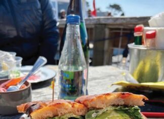 Shannon Gregory's new restaurant, set to open in June, is called the Bar Auklet after a seabird native to the area and aims to offer a high-end bar and restaurant experience not currently available in the rest of Point Reyes Station.