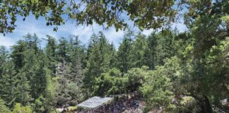 The 112-year-old Mountain Play company is returning this summer to the historic Cushing Memorial Amphitheatre, preparing to present audiences with a lavish production of the musical, The Wizard of Oz.