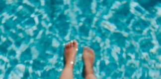 A county-by-county guide to Summer in the North Bay, including festivals, musicals, late-night concerts, county fairs, barbecues galore, fundraisers and Wine Country block parties.