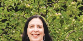 Go Local, the organization marching at the head of the North Bay local first economic movement, may shortly cease to exist