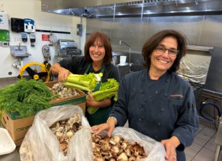 Hunger Amid Abundance: Food Insecurity Grows in North Bay At ExtraFood’s SOUPer Food Kitchen, celebrity chef Heidi Krahling and volunteers prepare 600 meals weekly for low-income seniors and homebound seniors.