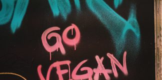 Local foodies have crowned the 2026 Marin Vegan Chef Challenge winners, with Flores in Corte Madera taking top honors.