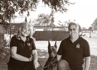 The Faces of Dog Training