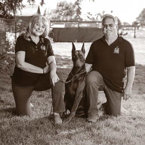 The Faces of Dog Training