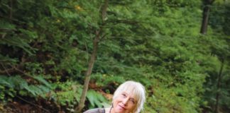 Crush features North Bay art and cultural events, including contemporary bluegrass artist Laurie Lewis and her band performing in Petaluma on July 19.