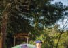 Russian Riverkeeper’s Don McEnhill In 2025 alone, the Russian River Keepers—self-styled protectors of the river—pulled roughly half a million pounds of trash from its waters, a volume that has grown, year over year, for the past five years.