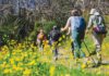 State Park Stays, Rustic Alternatives for Summer The North Bay has several California State Parks close enough to reach painlessly and wild enough to make one feel far from the trappings of civilization.