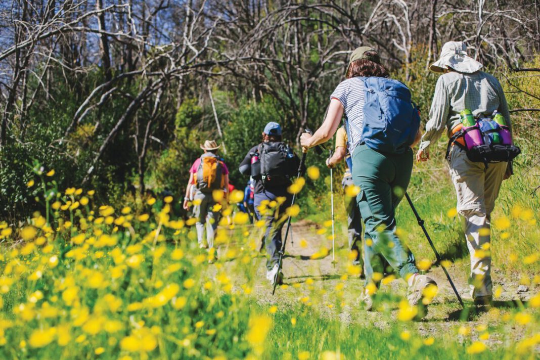 The North Bay has several California State Parks close enough to reach painlessly and wild enough to make one feel far from the trappings of civilization.