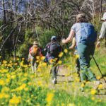State Park Stays, Rustic Alternatives for Summer The North Bay has several California State Parks close enough to reach painlessly and wild enough to make one feel far from the trappings of civilization.