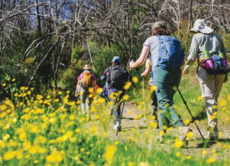 The North Bay has several California State Parks close enough to reach painlessly and wild enough to make one feel far from the trappings of civilization.