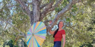 Erma Murphy, executive director of O'Hanlon Center for the Arts, standing on a wood board with her hand around a tree branch.