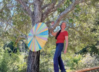 Erma Murphy, executive director of O'Hanlon Center for the Arts, standing on a wood board with her hand around a tree branch.