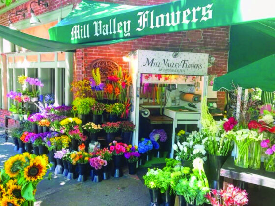 Mill Valley Flowers & Events